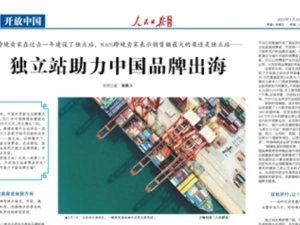 独立站，行业乱象与困境