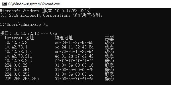 Windows上的ARP缓存