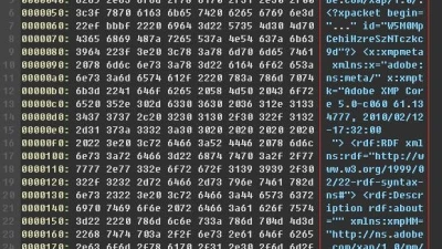 JPEG文件分析与无损压缩实践