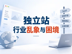 独立站，行业乱象与困境