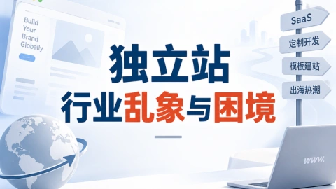独立站，行业乱象与困境