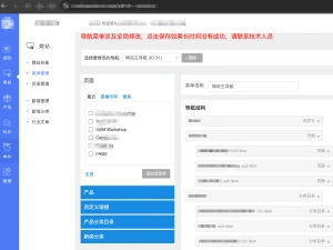 独立站，行业乱象与困境