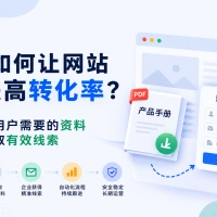 网站流量来了却不转化？试试用关键资料换取有效线索